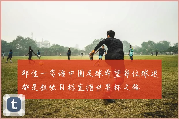 邵佳一寄语中国足球希望每位球迷都是教练目标直指世界杯之路